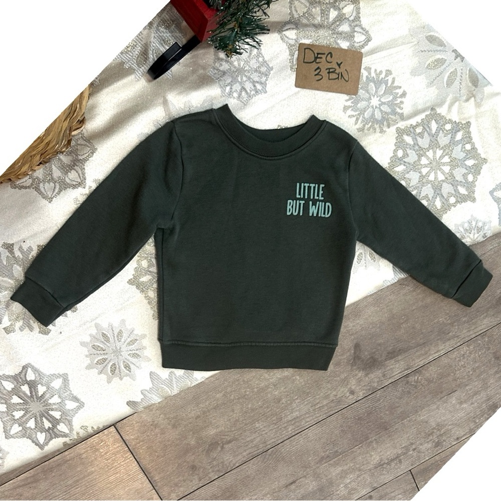 Little But Wild Toddler Boy Sweatshirt 24 Months Garanimals Modern Pullover